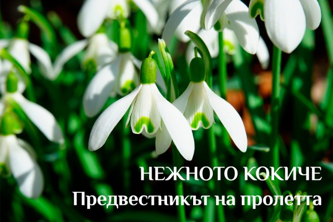 111