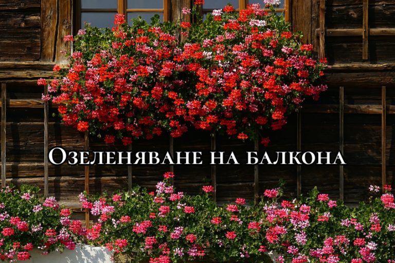Озеленяване на балкона
