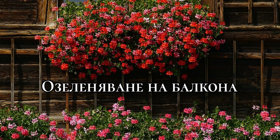 Озеленяване на балкона