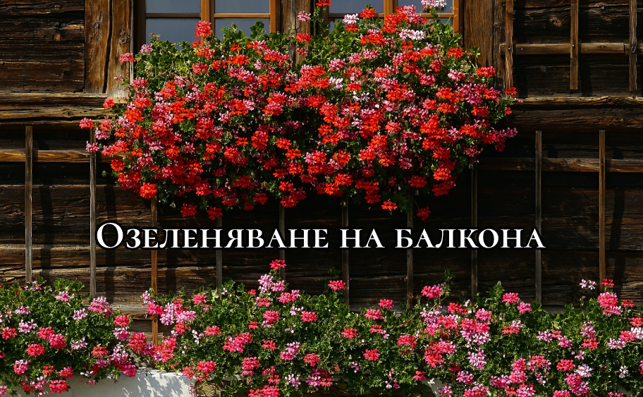 Озеленяване на балкона